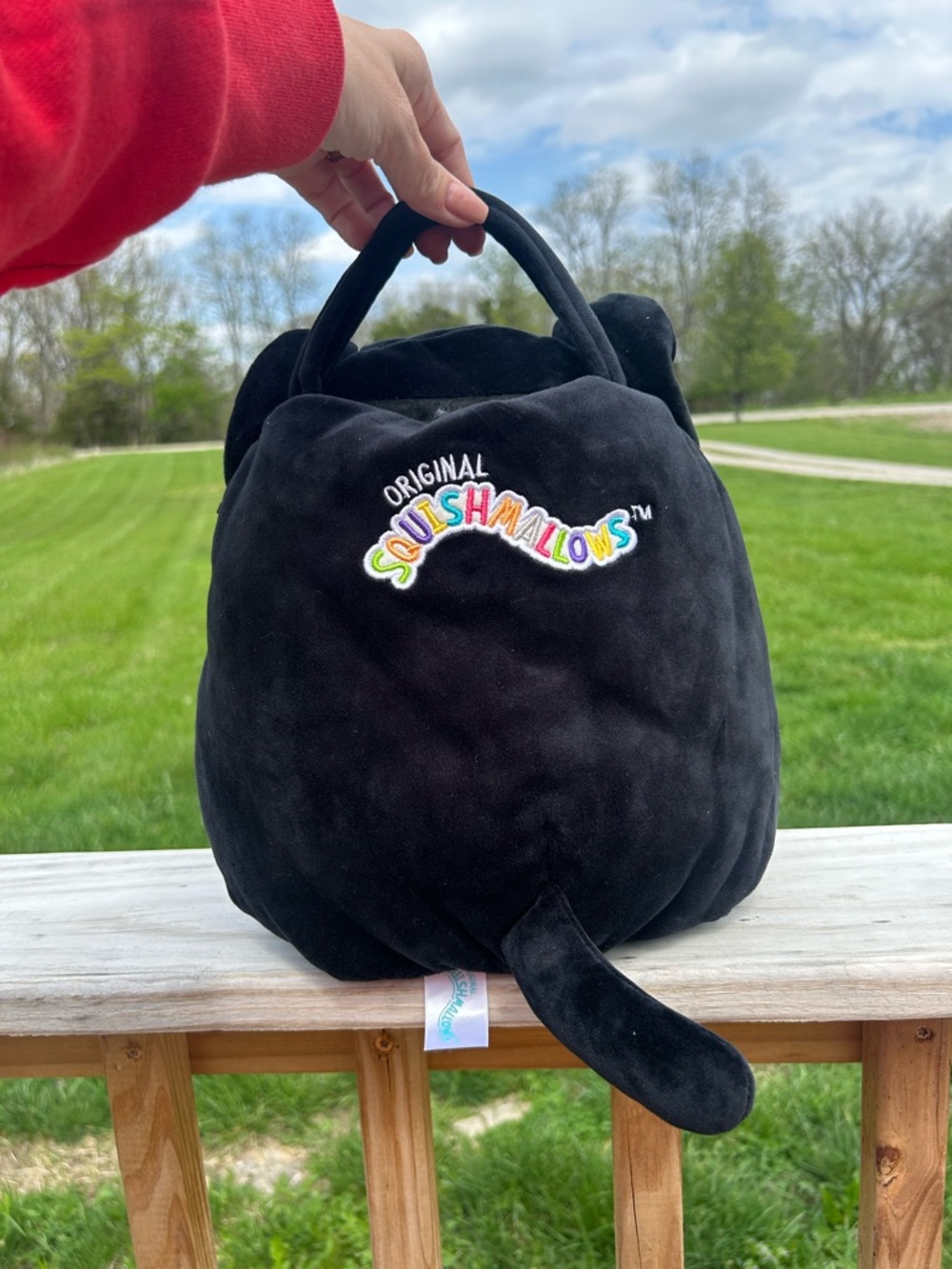 Squishmallows Original Stump the Skeleton Cat-Soft Plush Candy Bucket- Bag Flaw - Picture 6 of 14